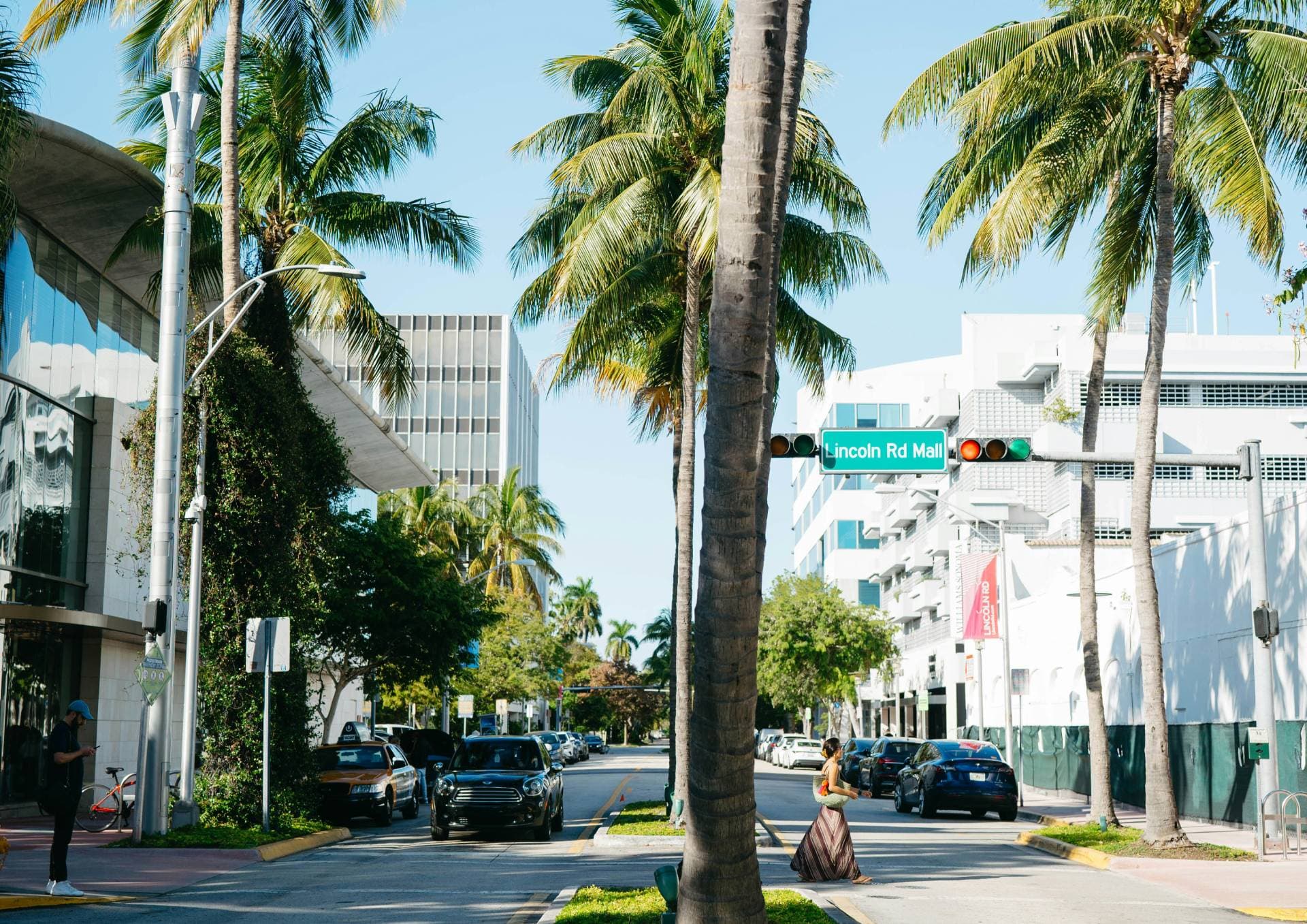 Palm-lined South Florida street representing development and permitting topics
